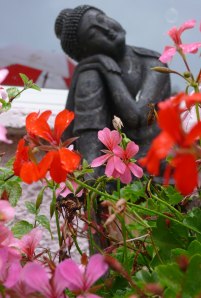 Buddha in my Reiki garden