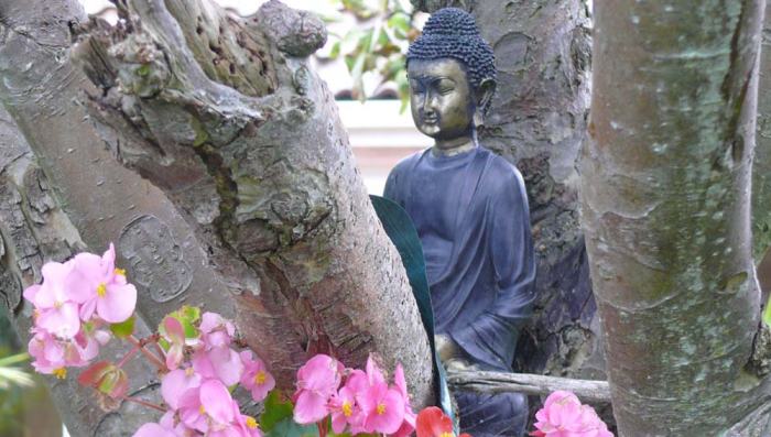 garden_buddalong